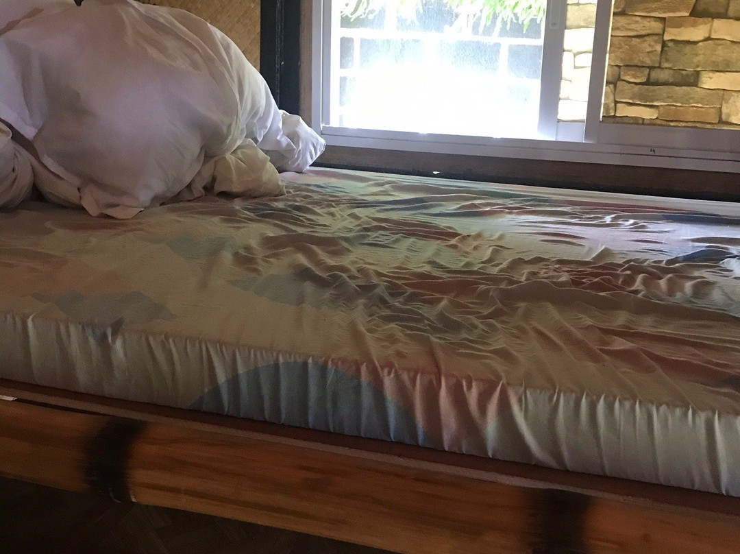 Your Brother's House Tribal Village主图