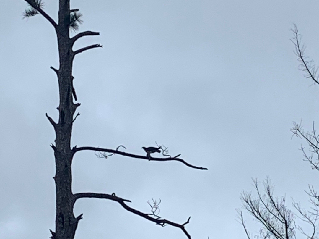 Three Rivers State Park-Sneads必去景点