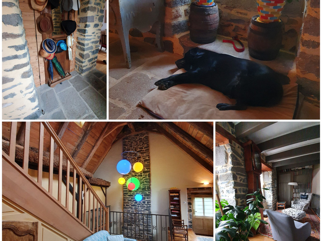 Datcha Anastasia主图