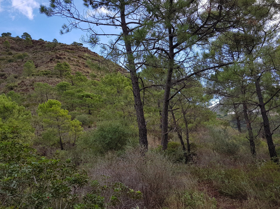 Mirador de la Herriza II景点图片
