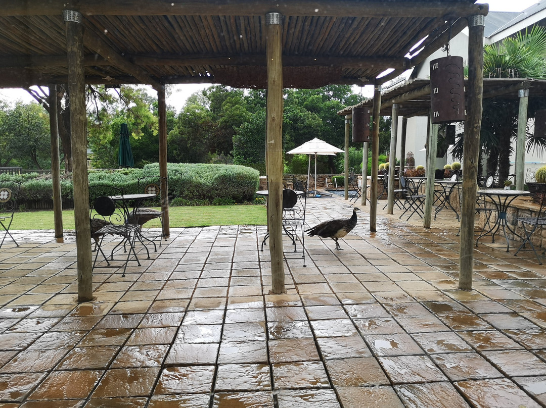 普罗梯亚威洛湖酒店主图