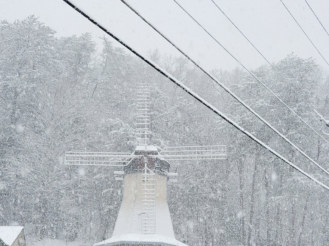 海伦海蒂汽车旅馆主图