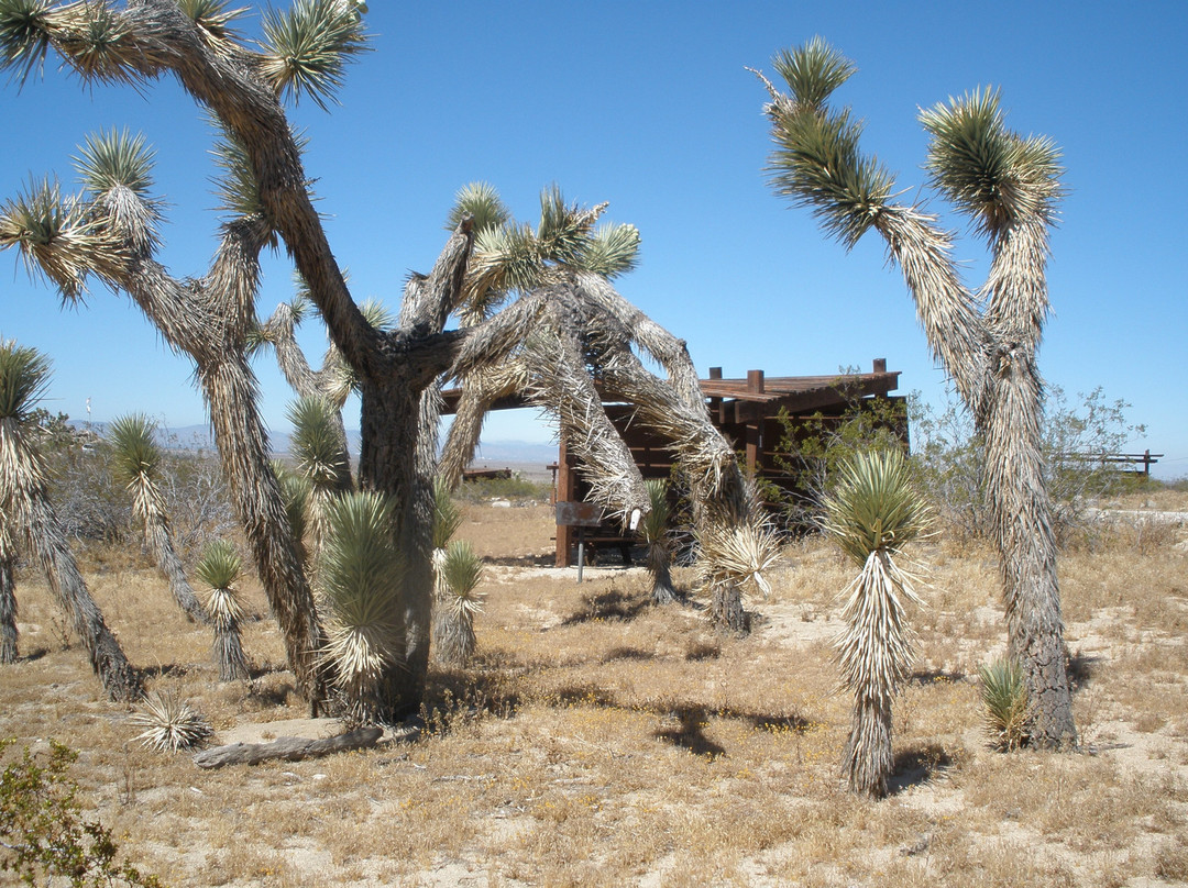 Saddleback Butte State Park-兰开斯特必去景点