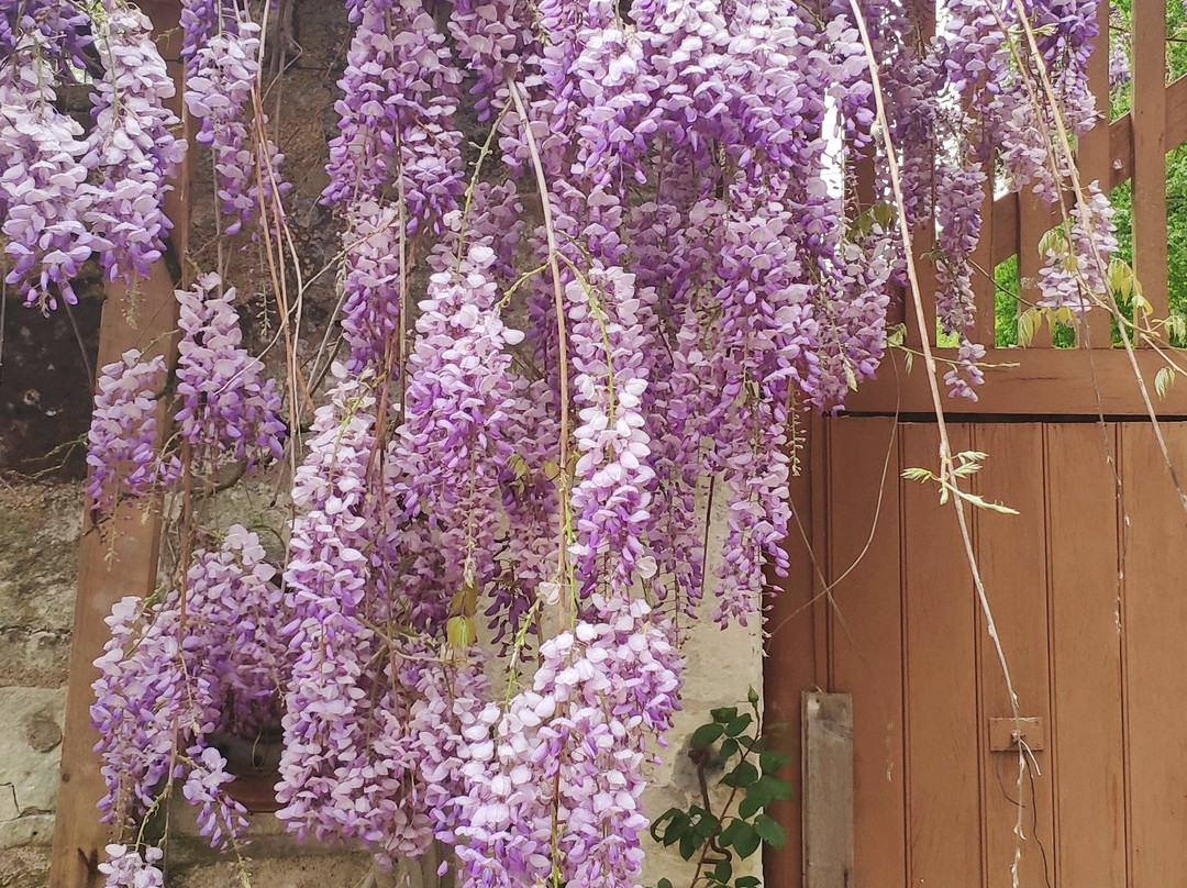 La Closerie De La Fuye主图