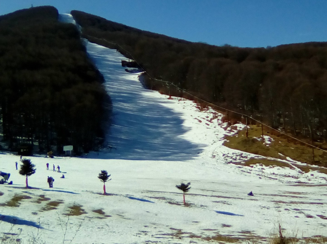 Ski Center Vigla-Pisoderi景点图片