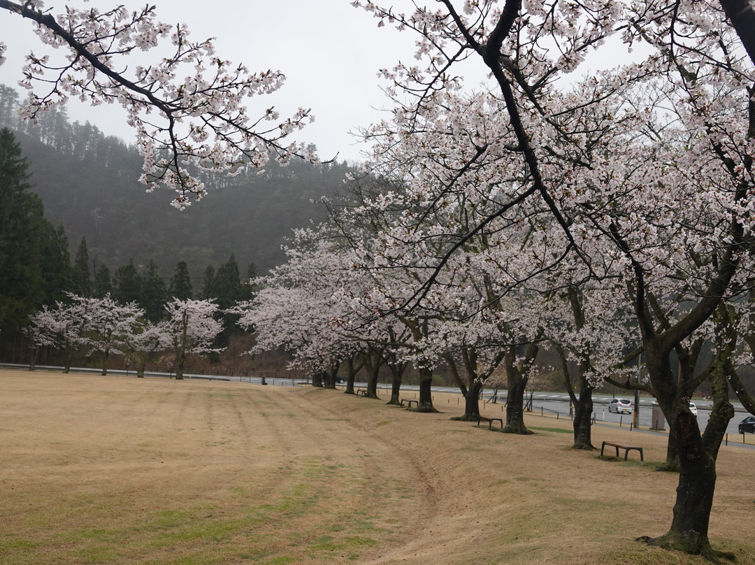 Kyowa Michi-no-Eki-大仙市必去景点