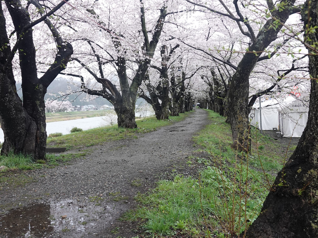 Hinokinaigawa Kasen Ryokuchi-仙北市必去景点