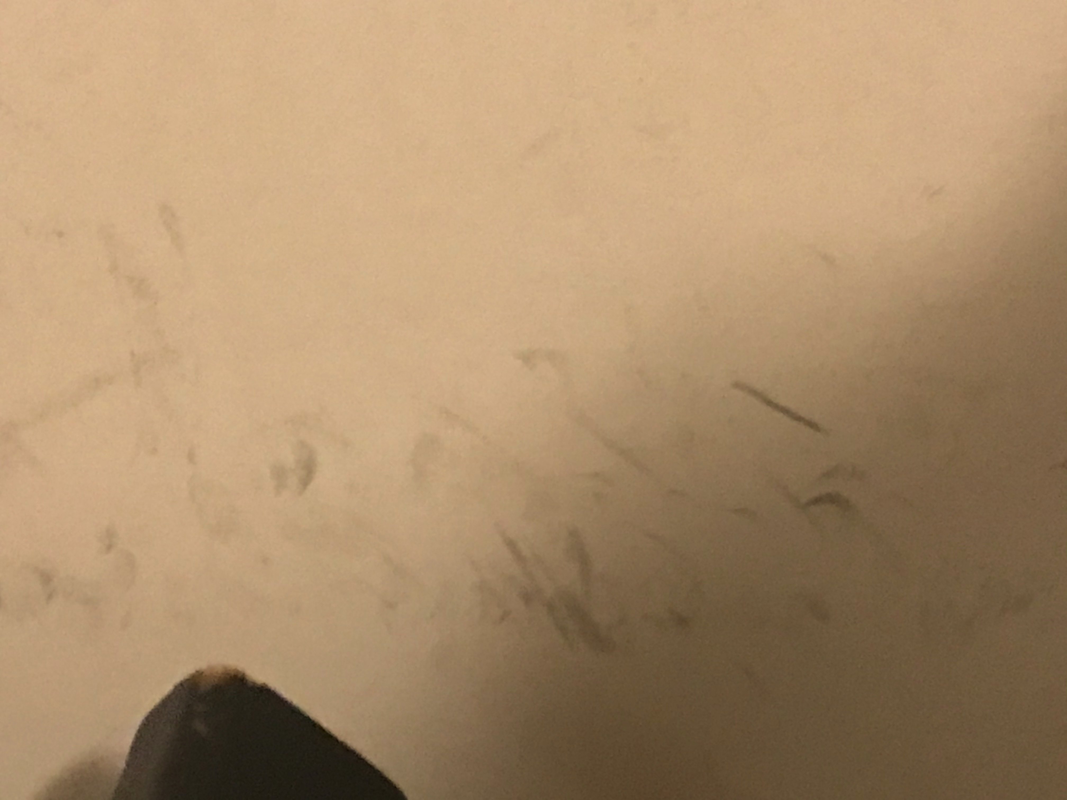 麦克唐纳弗赖姆利厅堂水疗酒店-酒店景观