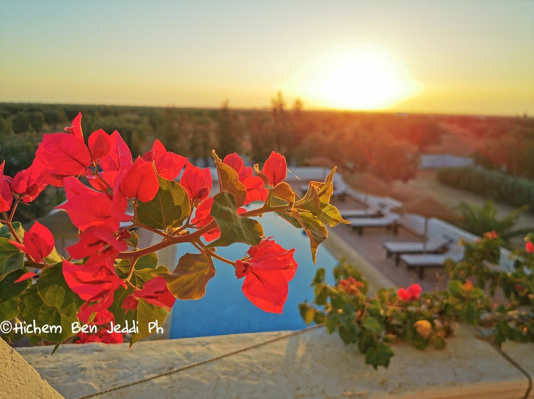 Ranch El-Manar B&B and Stables主图