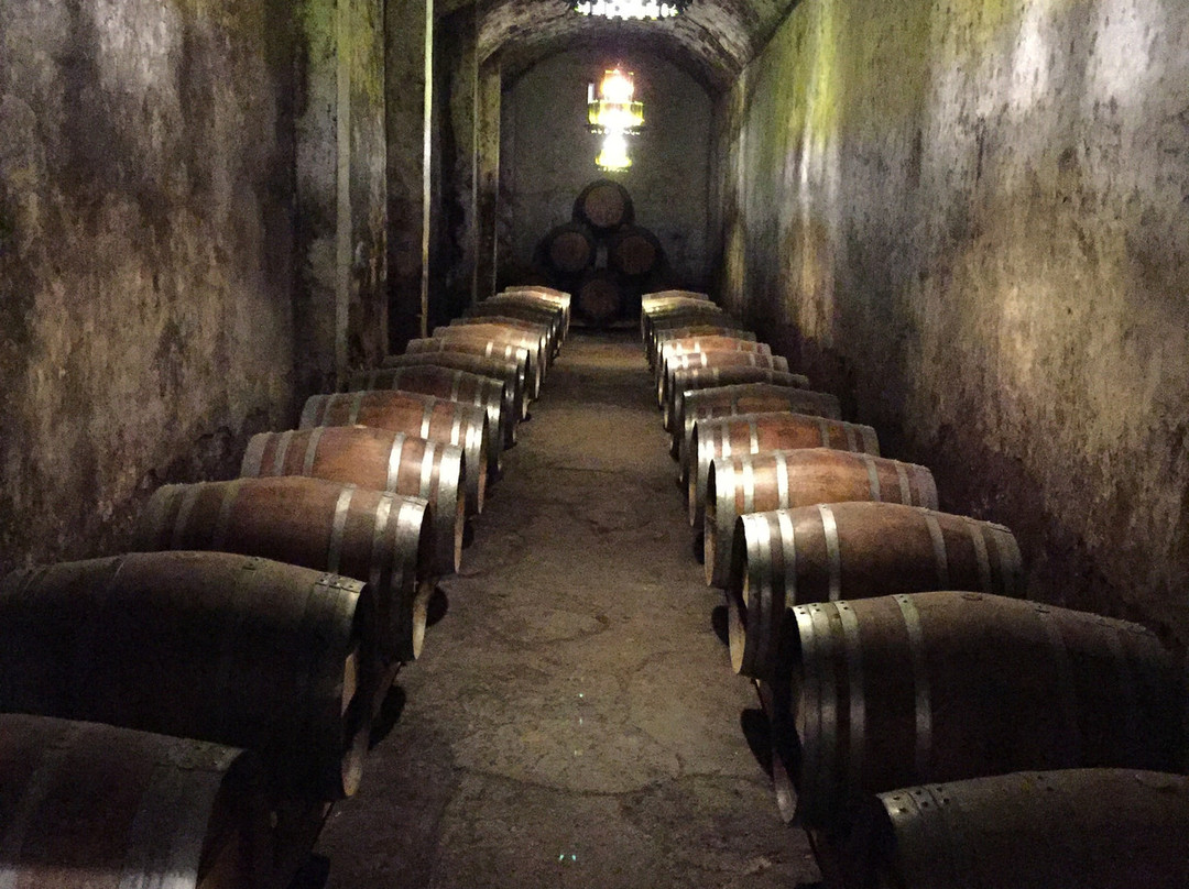Bodegas Irache-Ayegui必去景点
