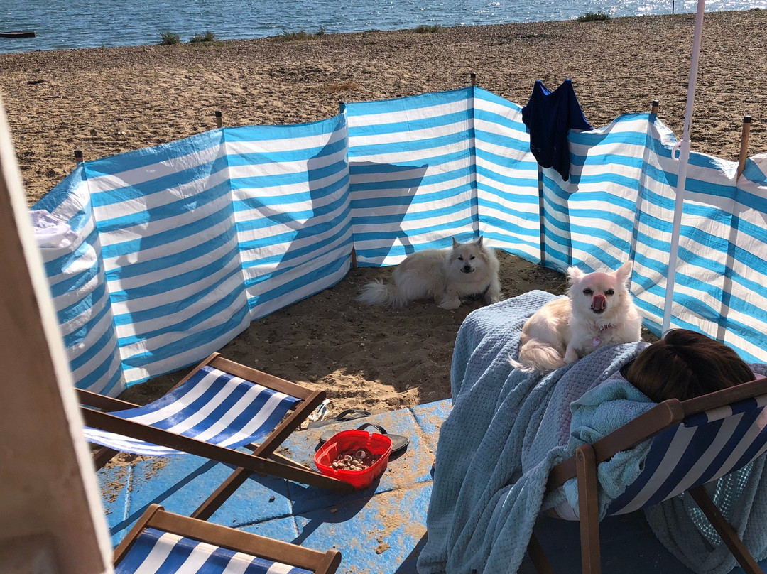 The Little Beach Hut Company景点图片
