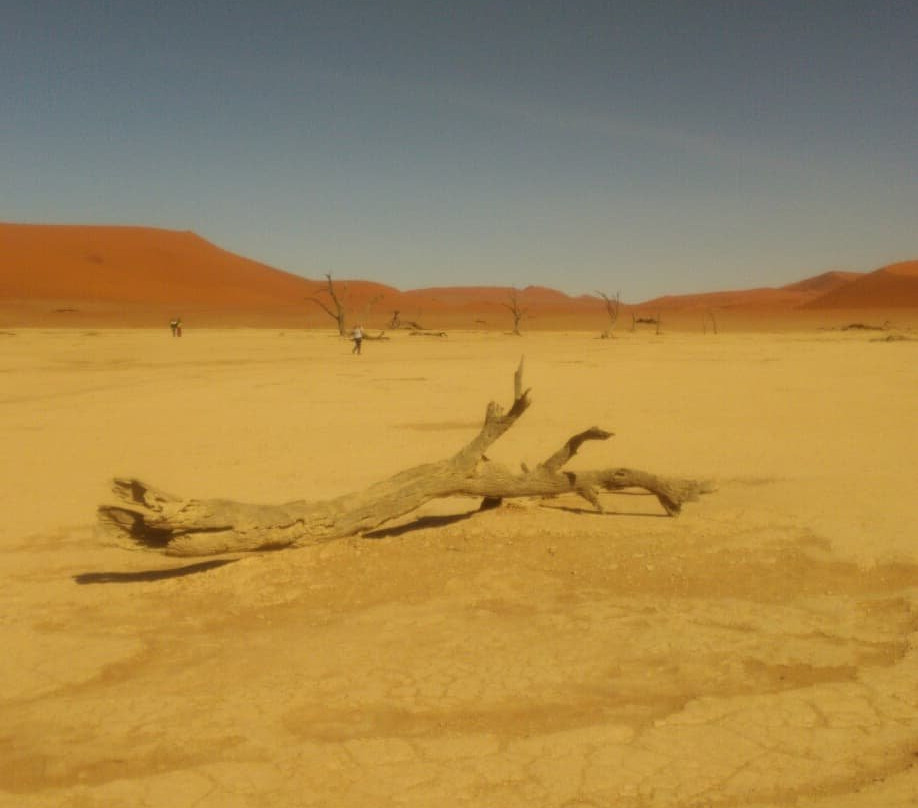 Discovery Transfer and Tour-温德和克必去景点