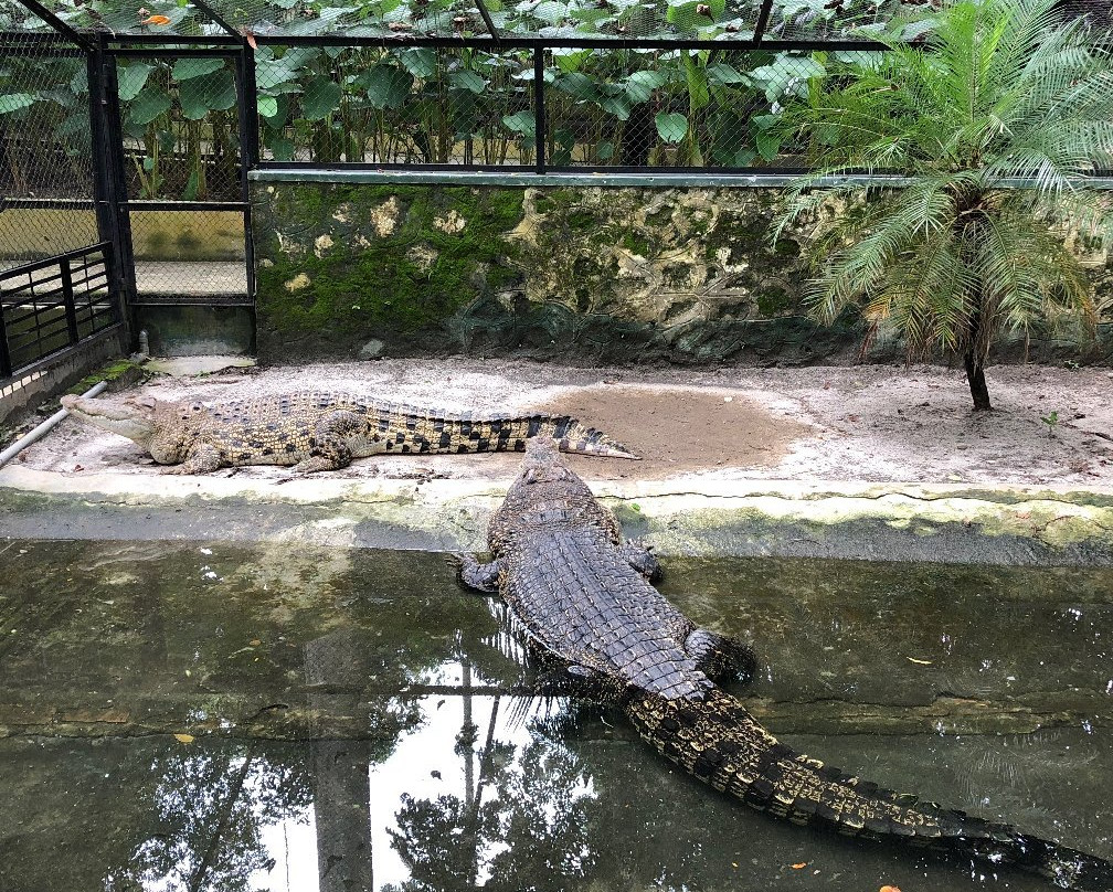 Pematang Siantar Zoo-Pematangsiantar必去景点