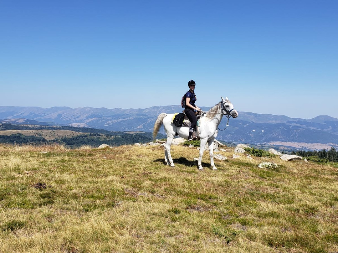 Horseback Riding Camp Ezdul-Hissarya必去景点