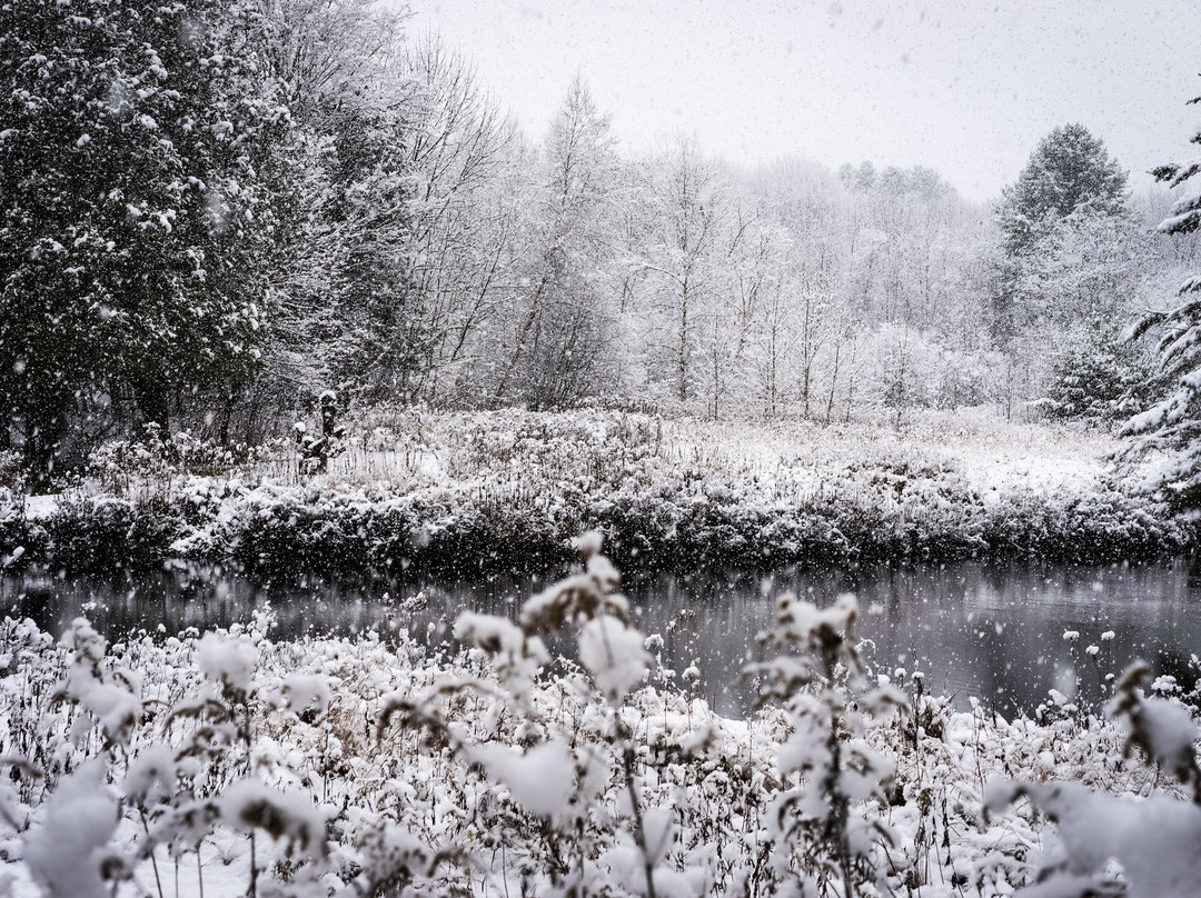Orford Music-Orford必去景点