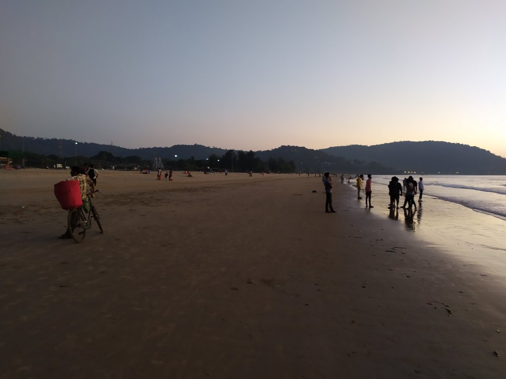 Ravindranath Tagore Beach景点图片