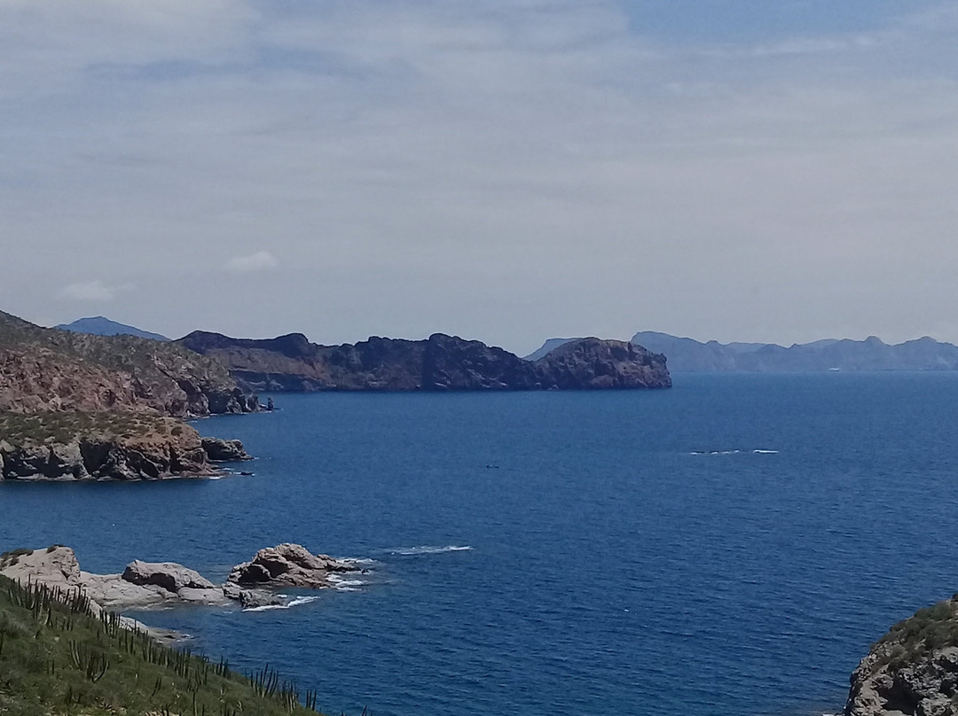 Mirador Escénico de San Carlos景点图片