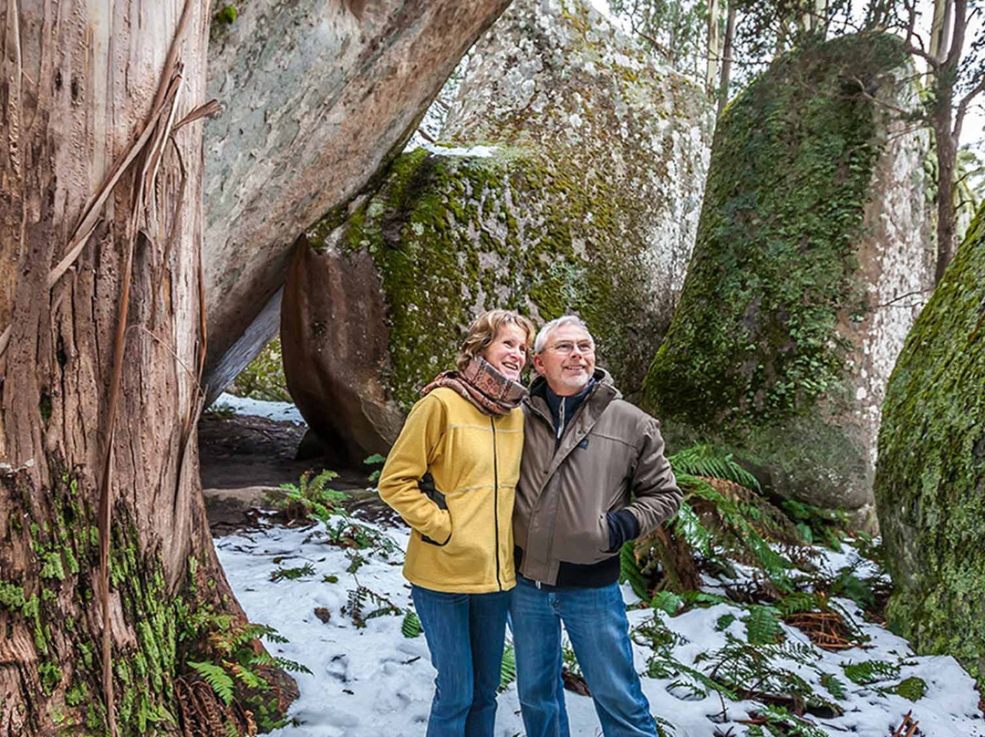 Baw Baw National Park