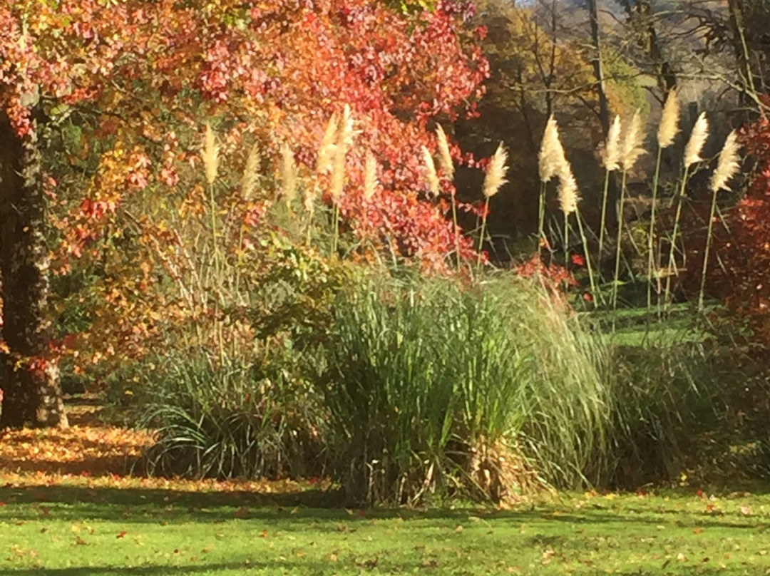 Kentchurch Court Gardens景点图片