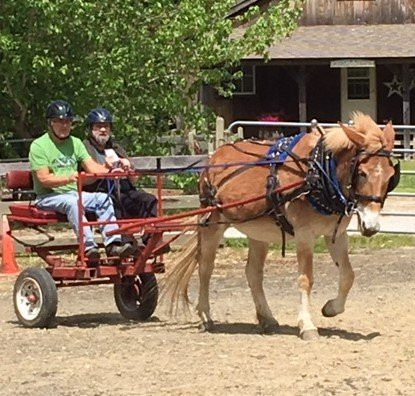 Ray of Light Farm-East Haddam必去景点