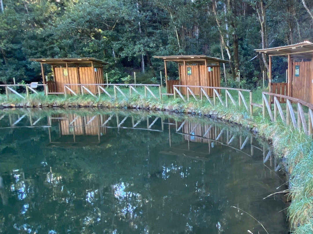 Parque Ribeira Primeira-Santo da Serra必去景点