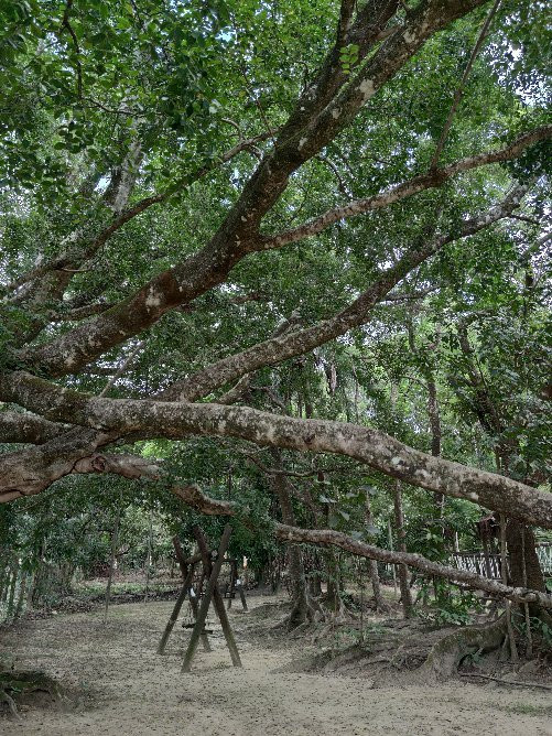 Primeira Casa de Caldas Novas-Caldas Novas必去景点