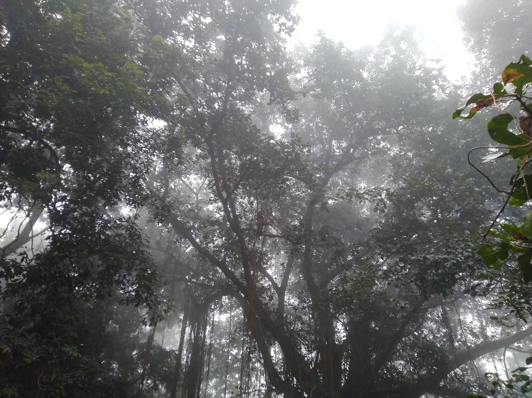 Daring Badi-普里必去景点