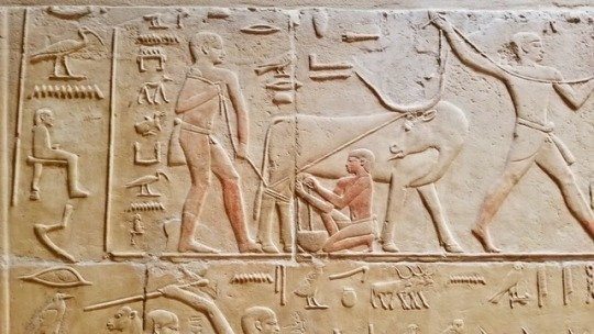 Mastaba of Kagemni-Saqqara必去景点
