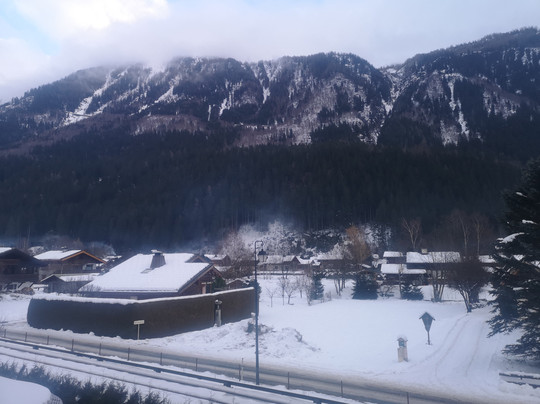 Fleur des Neiges主图