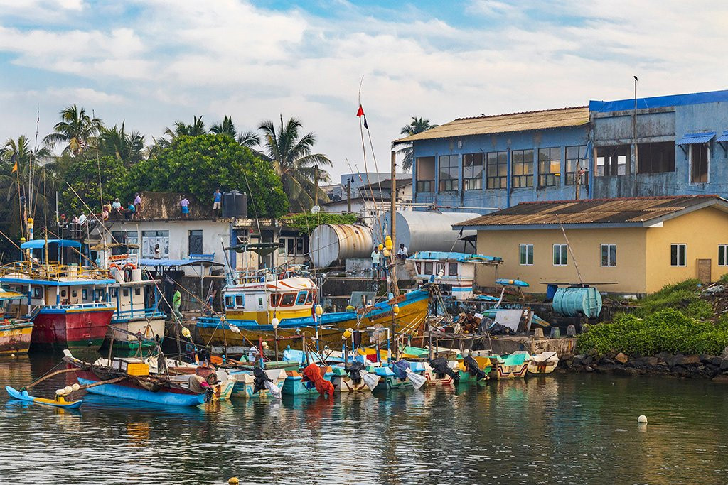 Hikkaduwa Harbour-希克杜沃必去景点