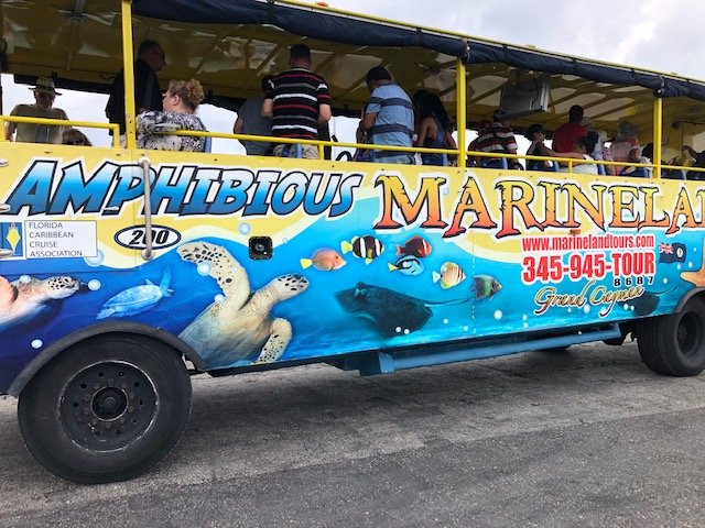 MarineLand Tours-乔治城必去景点