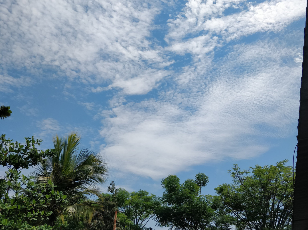 The Flea Market Seminyak-水明漾必去景点