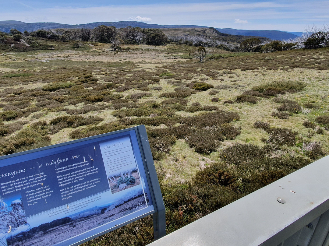 Wallaces Heritage Trail-Falls Creek必去景点