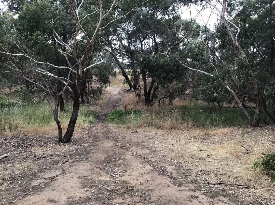 Bannockburn Bushland Reserve