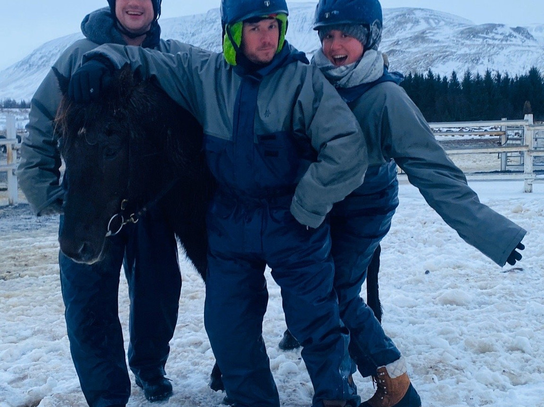 Laxnes Horse Farm-莫斯费德斯拜尔必去景点