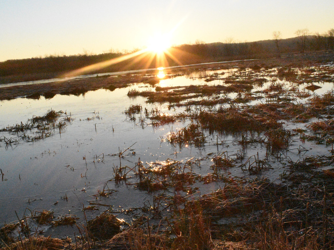 Killbuck Marsh Wildlife Area-Wooster必去景点