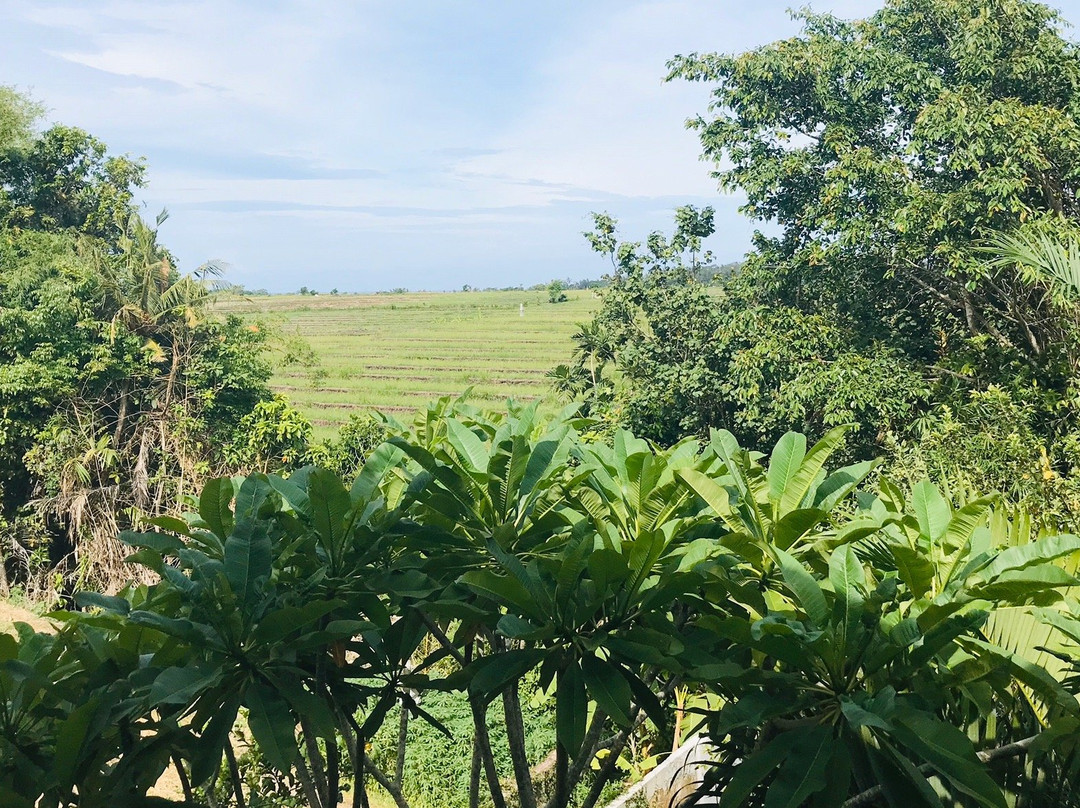 Bali Fat Bike Cycling-达巴南必去景点