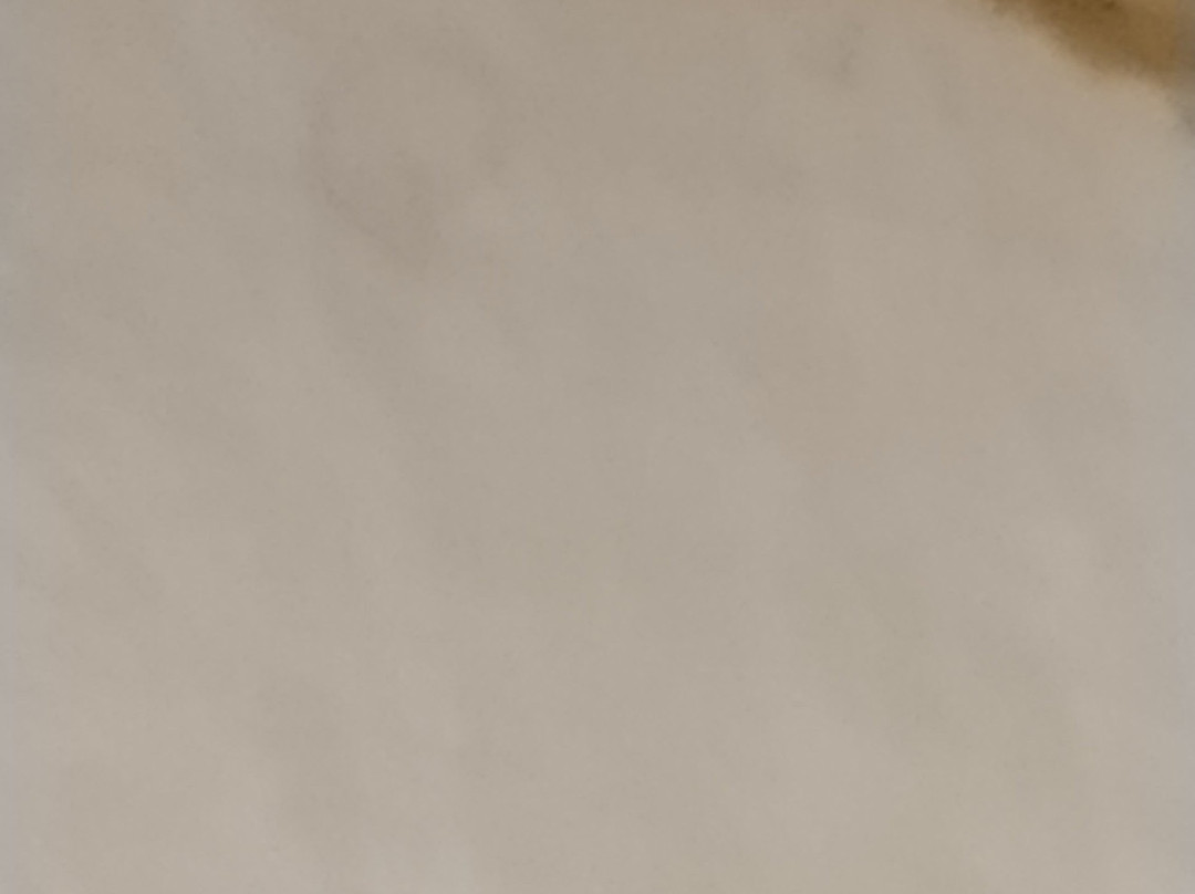 Barrudada Tropical Hotel主图