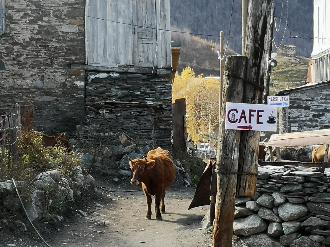 Ushguli Ethnographic Museum景点图片
