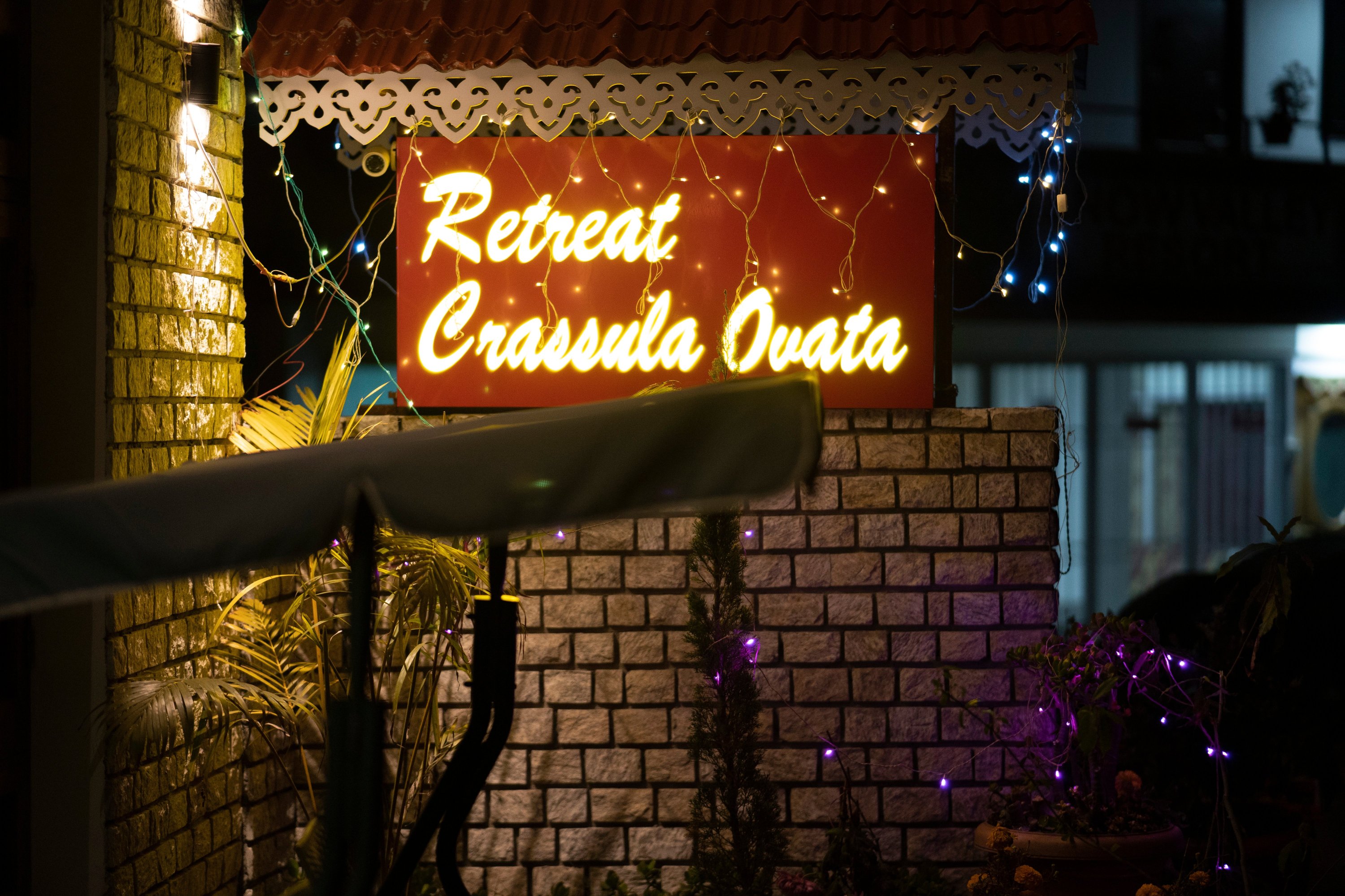 Retreat Crassula Ovata-浴室