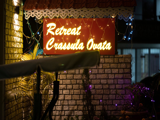 Retreat Crassula Ovata主图