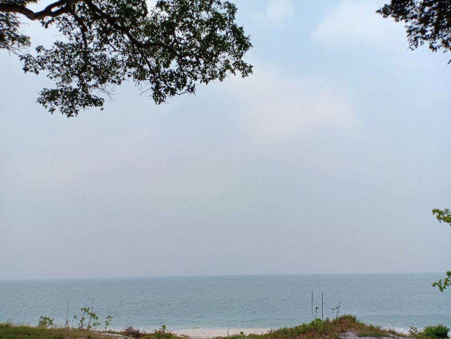 Turtle Conservation and Information Center-红土坎必去景点