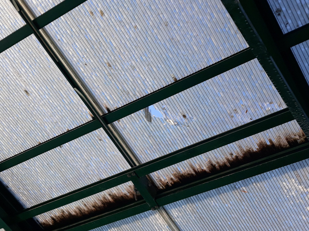 The Inn at Tomichi Village主图