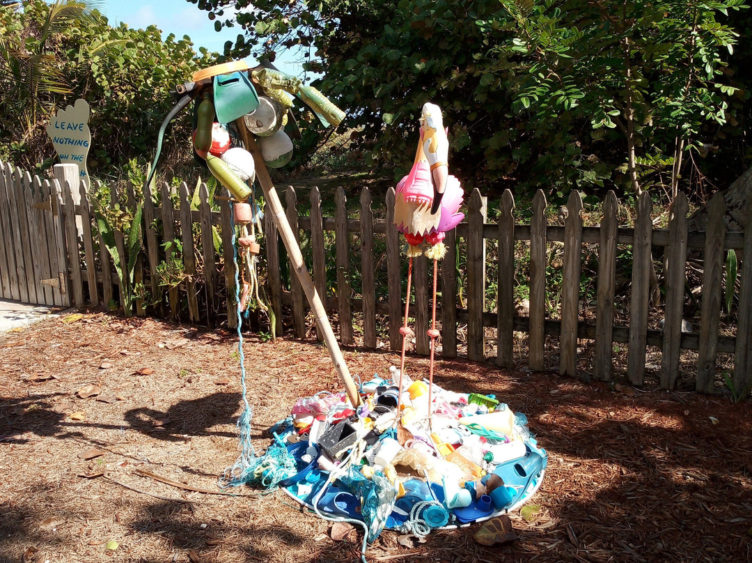 Marine Environmental Education Center-好莱坞必去景点