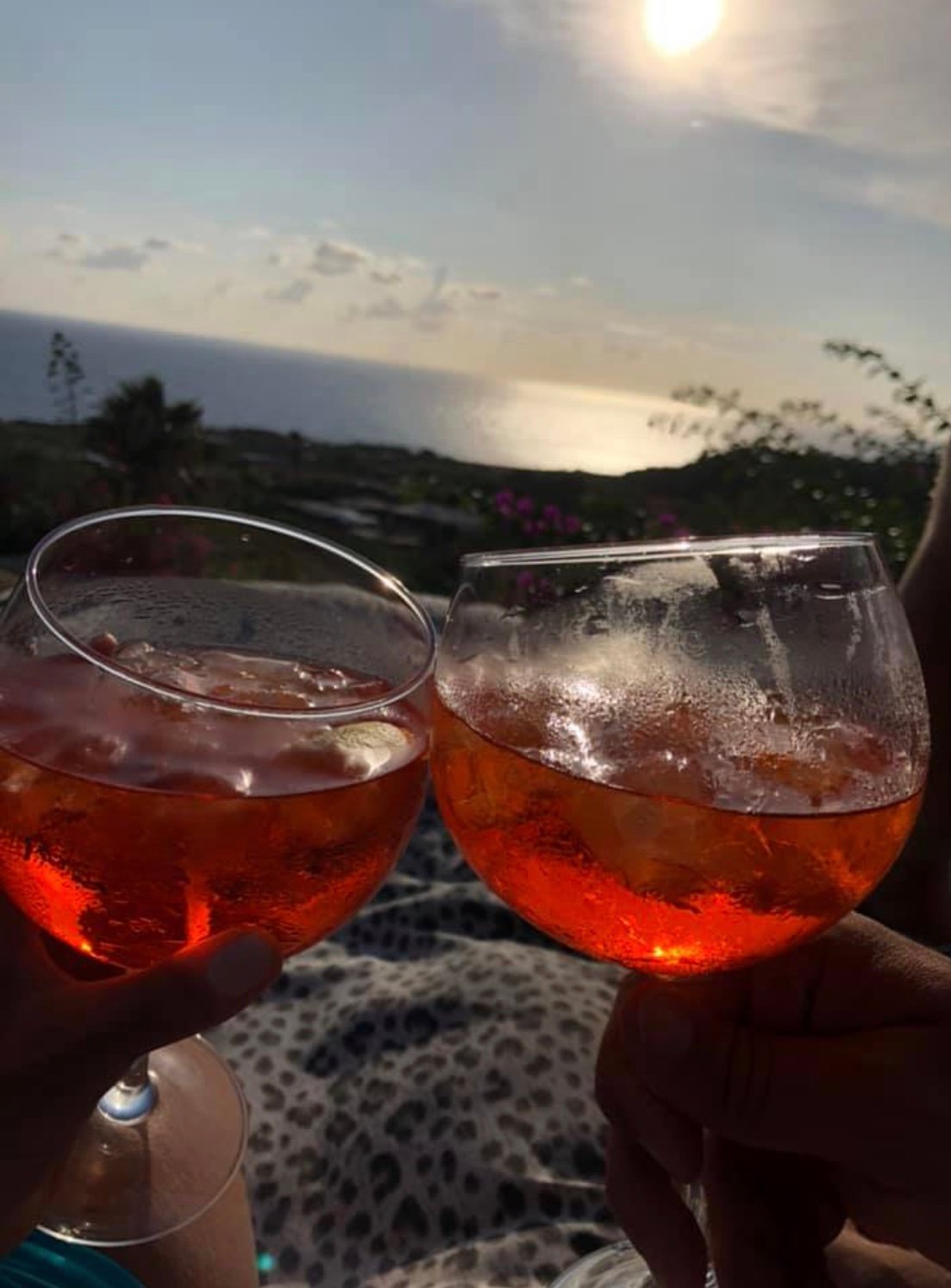 Don Mario Resort-官方