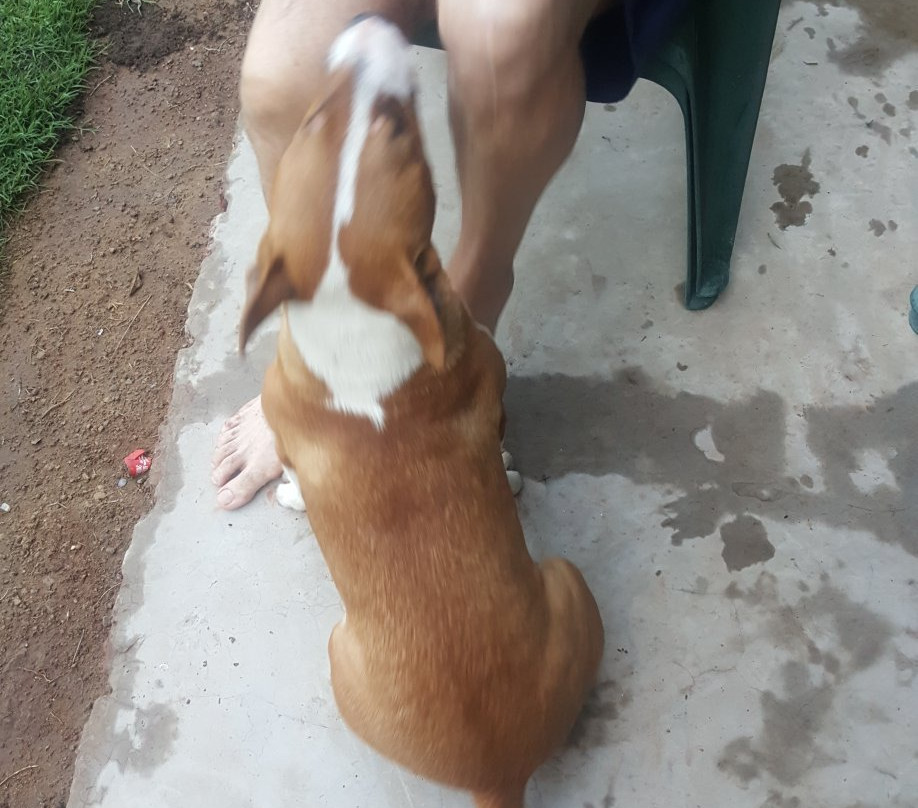 Zomerlust C E Guesthouse主图