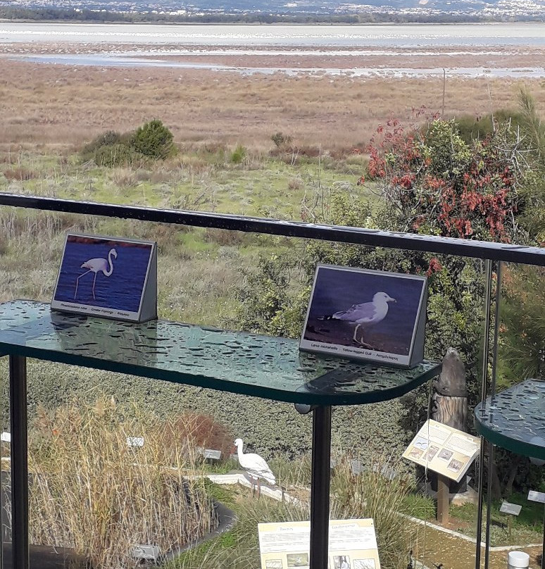 Akrotiri Environmental Education Centre-Akrotiri必去景点