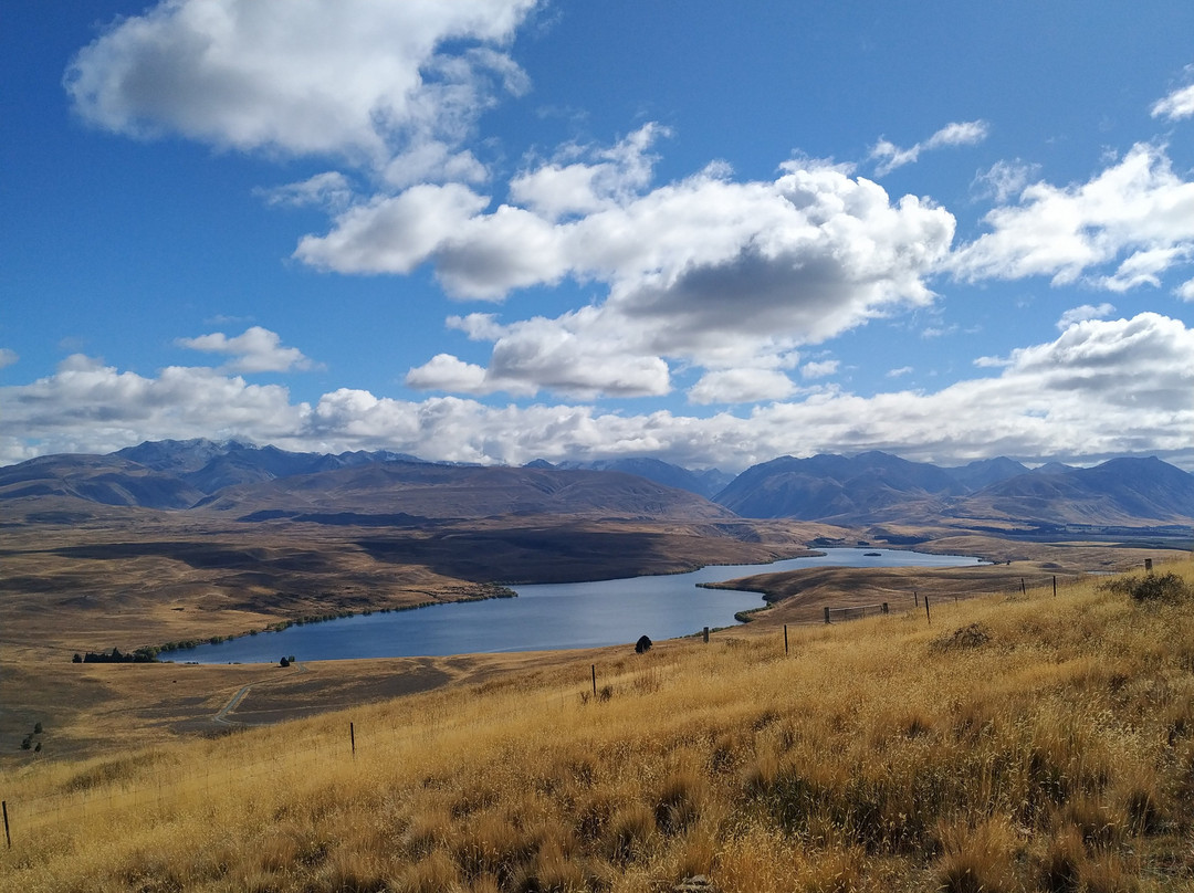 Lake Alexandrina景点图片