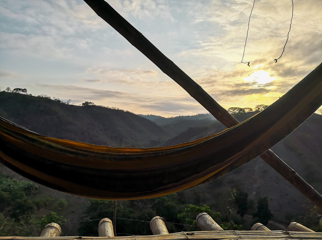 Finca Pinguino Farm-Canoa必去景点