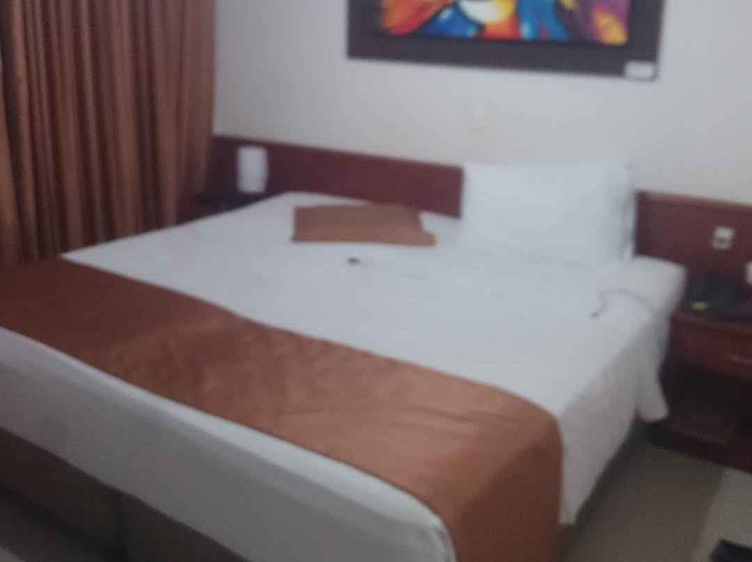 Hotel Dulima Inn主图